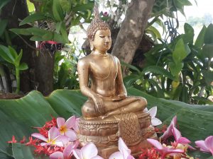 20150415_102843_resized