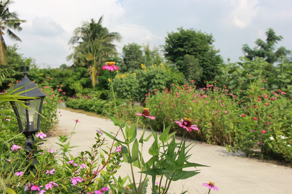 บรรยากาศที่เหมาะกับการพักฟื้น"ศูนย์ดูแลผู้สูงอายุบัวเผื่อนโฮมแคร์"