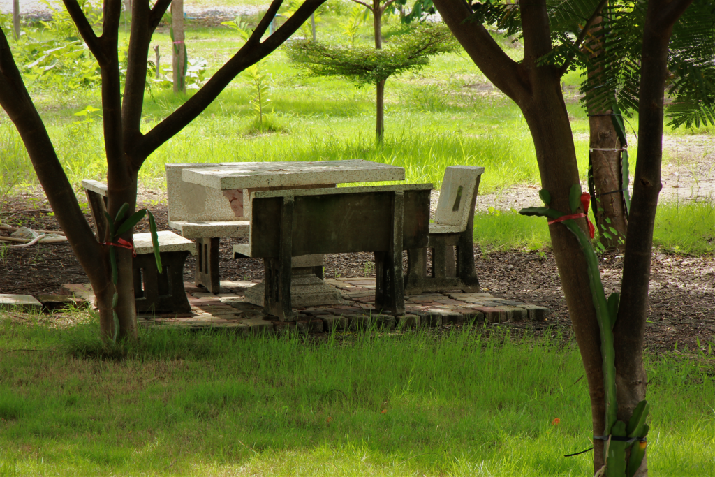 มุมนั่งพักผ่อน ท่ามกลางอากาศบริสุทธ์ "ศูนย์ดูแลผู้สูงอายุบัวเผื่อนโฮมแคร์"